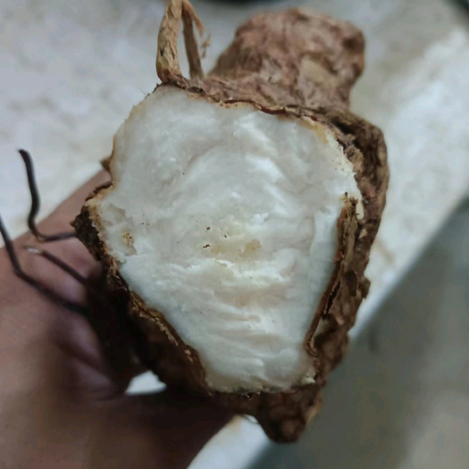 绥宁县土茯苓