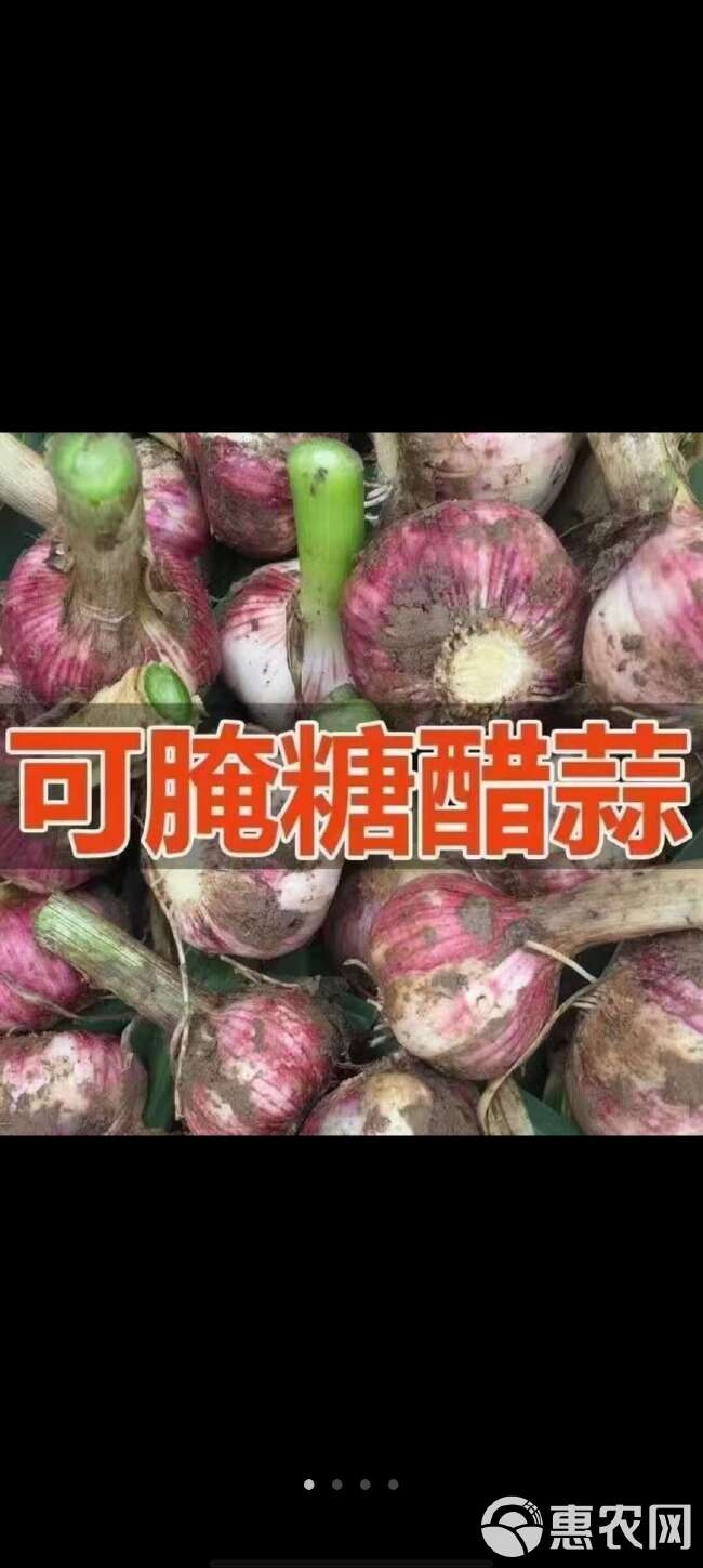 精品红皮新鲜大蒜