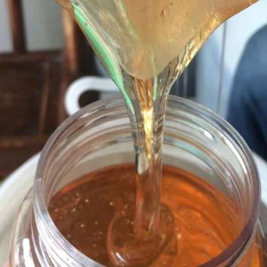红安县正宗大别山农家油菜花土蜂蜜