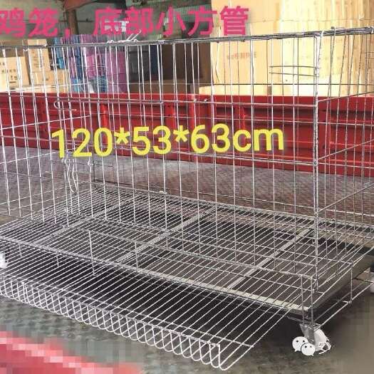 衡水批发折叠鸡笼子养鸡笼家用大号蛋鸡笼阳台鸡舍自动滚蛋养殖鸡笼子