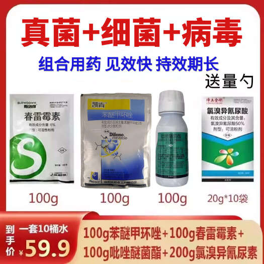 鄄城县氯溴异氰尿酸 苯醚甲环唑 青枯霜霉吡唑醚菌酯春雷霉素农药杀菌