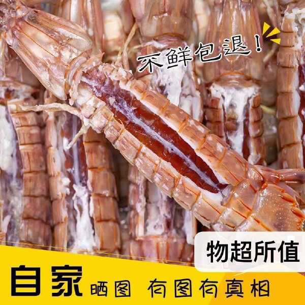 带膏熟冻大皮皮虾生冻皮皮虾大虾爬自助餐熟冻皮皮虾