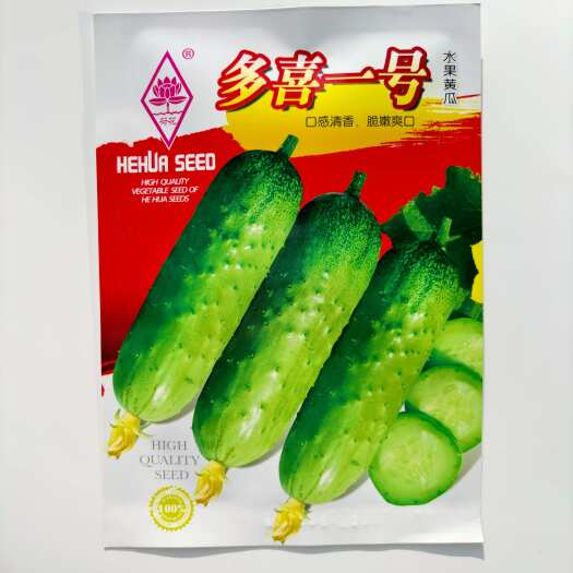 沭阳县强雌水果黄瓜种子多喜一号节节有瓜口感清香旱黄瓜青瓜春夏秋