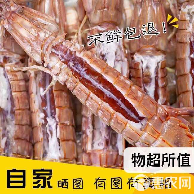 带膏熟冻大皮皮虾生冻皮皮虾大虾爬自助餐熟冻皮皮虾