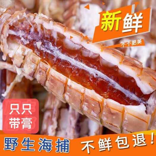 连云港带膏熟冻大皮皮 单冻 自助餐 电商可用 可定制 协助找车