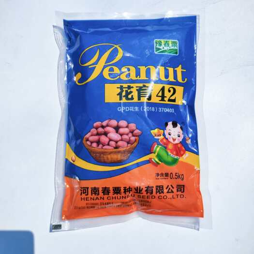 沭阳县花育42花生种子结荚多出油多大粒带壳薄壳薄皮耐旱耐涝大田种植