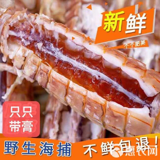 带膏熟冻大皮皮虾生冻皮皮虾大虾爬自助餐熟冻皮皮虾