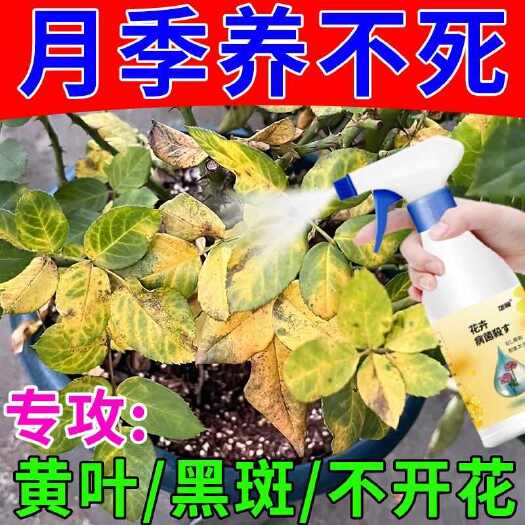 栾川县月季花病害专用月季枯枝病新芽干枯萎焉黄叶不生长抗病杀菌营养液