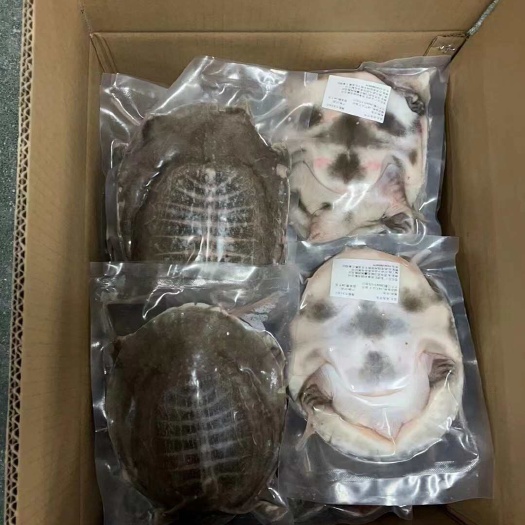 南丰县新鲜宰杀甲鱼，真空速冻，接电商酒店商超社区团购一件代发