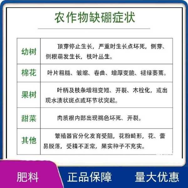 硼肥授粉受精提高座果率保花保果预防皴皮缩皮小果软果畸形果农用