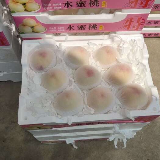 新沂市蜜桃价格可谈以上市