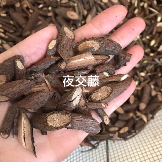 永城市中药材～夜交藤 何首乌藤   人工切段晒干  当季新货