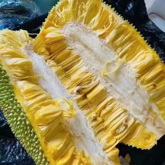 万宁市海南菠萝蜜便宜大卖毛毛钱