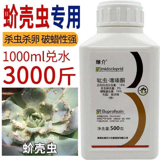 蚧壳虫药爆介18%吡虫啉噻嗪酮杀虫剂正品批发价农药柑橘树专用