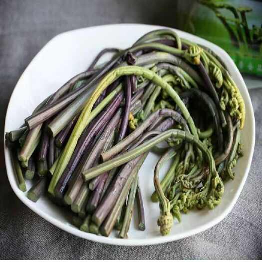 赫章县贵州特产野蕨菜野生保鲜蕨菜 腌制蕨菜