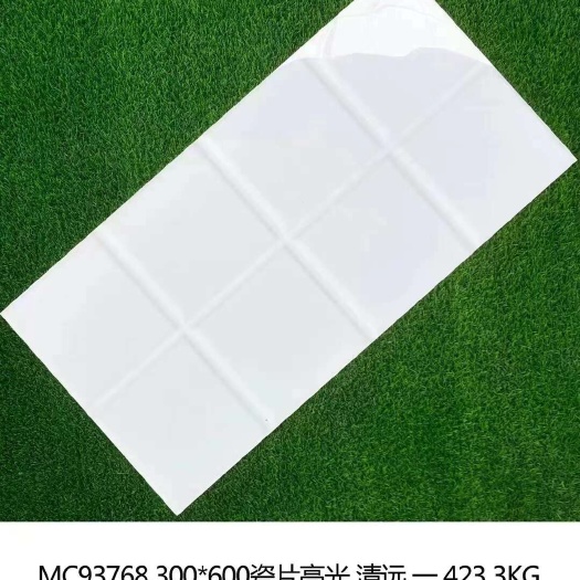 佛山马可BL300*600瓷片