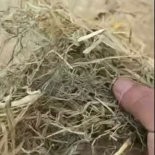 蚌埠方捆稻草