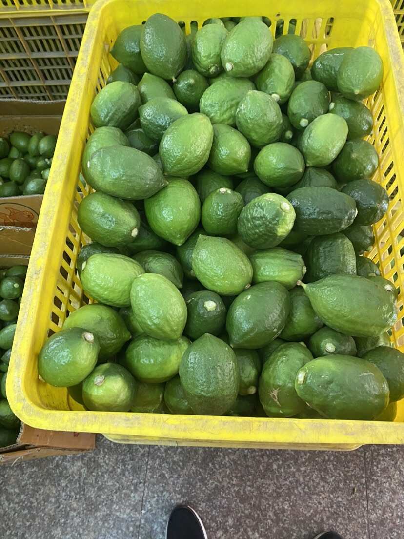 广东香水柠檬现货2千斤私