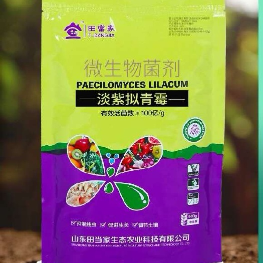 诸城市淡紫拟青霉根结线虫专用药淡紫紫孢菌生物菌剂大棚蔬菜果树防治