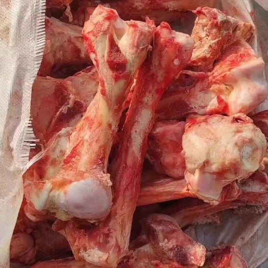 郑州驴骨 驴腿骨 驴棒骨/驴筒骨