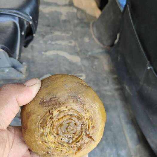新沂市咸菜疙瘩