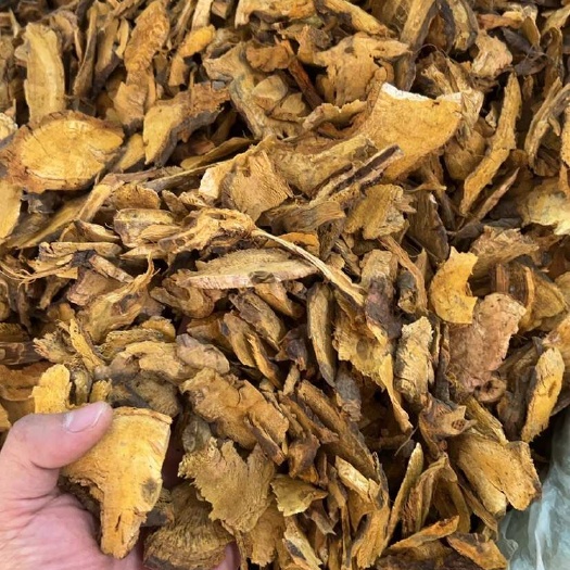 玉林虎仗