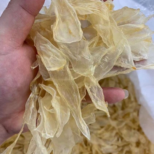 广州鱼胶批发大量竹叶胶A货 花胶滋补干货 支持一件代发