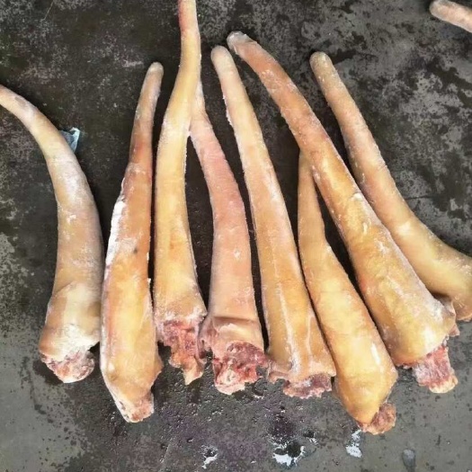 郑州驴尾巴 带皮驴尾巴