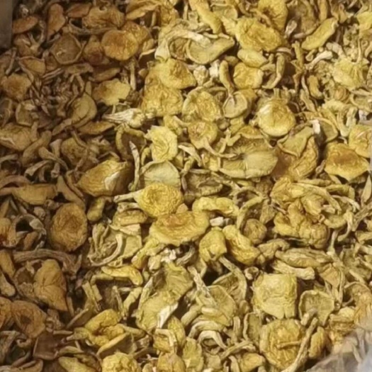 哈尔滨木耳，榛蘑，猴头，元蘑，香菇，黄蘑，等等