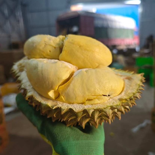 昆明【泰国金枕榴莲】多规格可选择，金枕榴莲单果，每个包4房