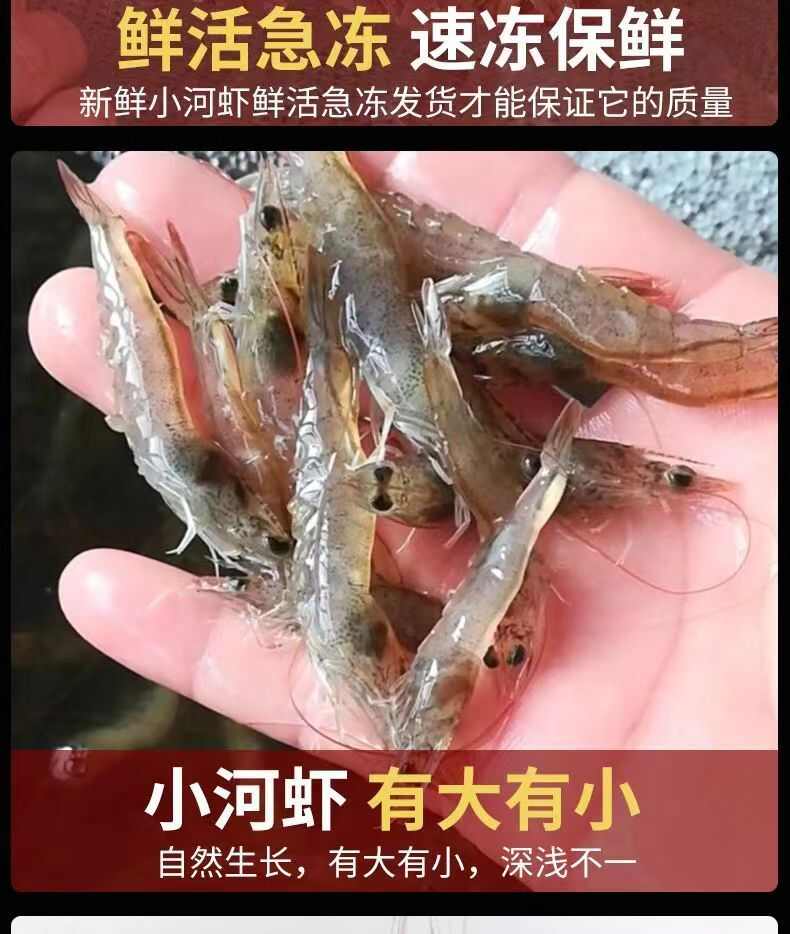 顺丰包邮小河虾鲜活冷冻新鲜批发冷冻整箱批发醉虾小海虾青虾湖虾