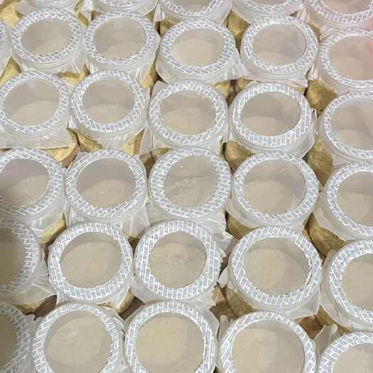 曹县供黑水虻虫卵，青虻新品黑水虻虫卵