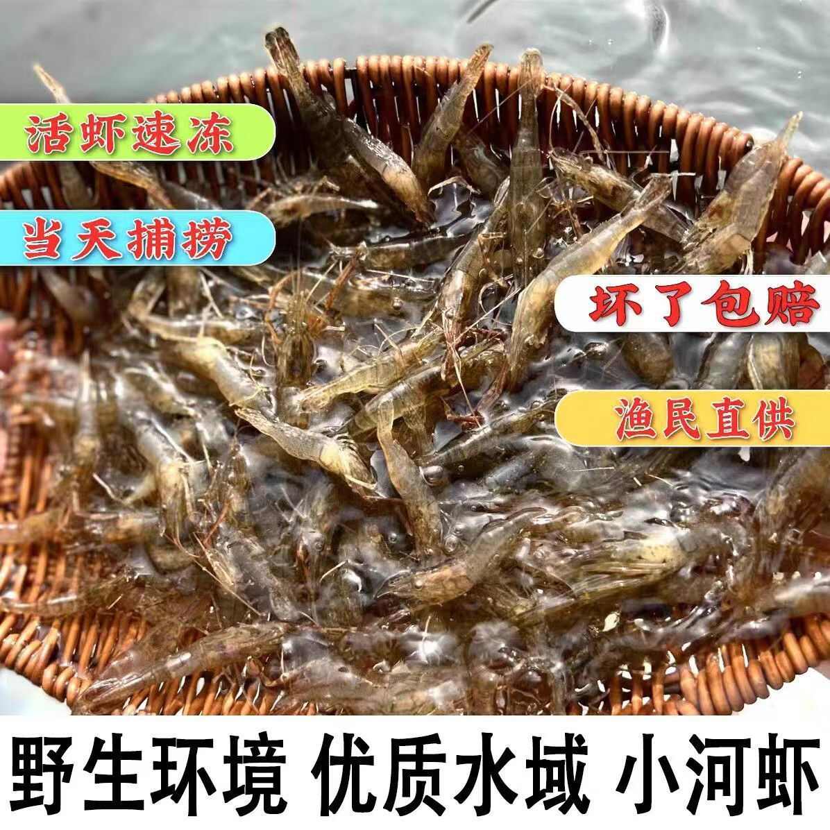 顺丰包邮小河虾鲜活冷冻新鲜批发冷冻整箱批发醉虾小海虾青虾湖虾