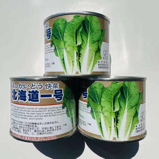 宿迁北海道一号快菜种子耐热耐湿北海道二号快菜种子速生奶油白菜种子