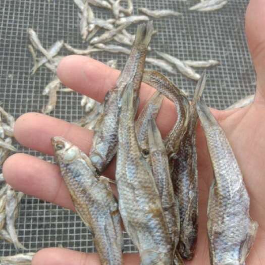 费县鱼干麦穗鱼干