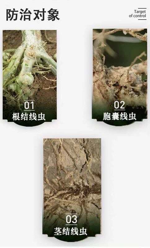 線杰20%噻唑膦蔬菜黃瓜根結(jié)線蟲專用殺蟲劑農(nóng)用農(nóng)藥正品