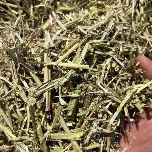 泌阳县花生秧，牛羊马牧草，饲料