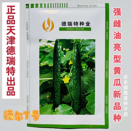 天津德瑞特黄瓜籽德尔7号强雌黄瓜种子油亮型密刺长黄瓜种籽春秋