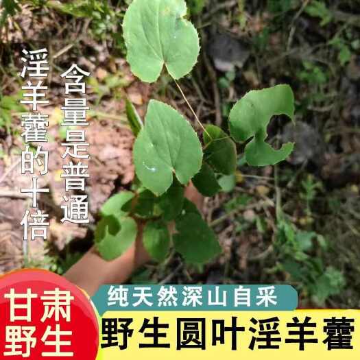 陇南【甘肃发货】小叶淫羊藿中药材淫羊藿仙灵脾无硫纯叶淫羊藿包邮