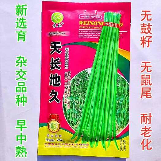 沭阳县长豆角种子袁豇天长地久长条早中熟高产抗病肉厚耐老好吃豇豆种籽