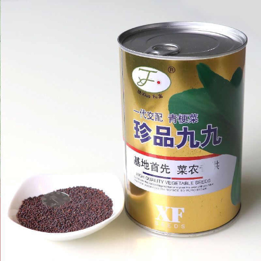 晓富珍品九九青梗菜种子耐热耐寒口感甜脆叶片深绿商品性好青菜种