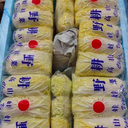 昆明娃娃菜供应各大电商市场
