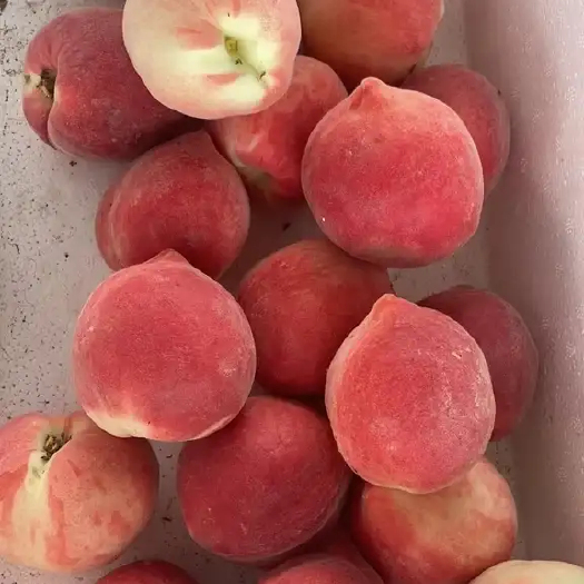 枣阳市红不软桃 产地直供毛桃 红不软，美佳，突围，红桃，水蜜桃