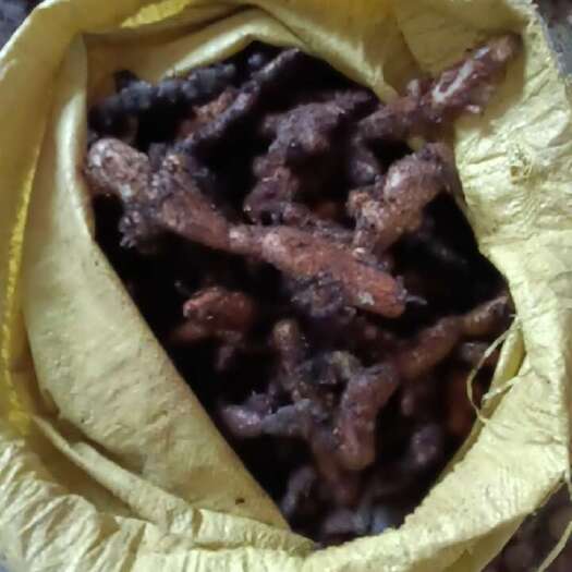 石阡县贵州骨碎补（鲜货）