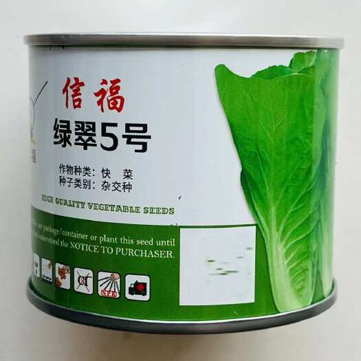 宿迁信福绿翠5号快菜种子早熟杂交白菜种子绿盛小白菜快菜种子