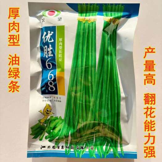 沭阳县优胜668豆角种子四季豆特长无筋高产抗病小叶摘不败豇豆蔬菜种