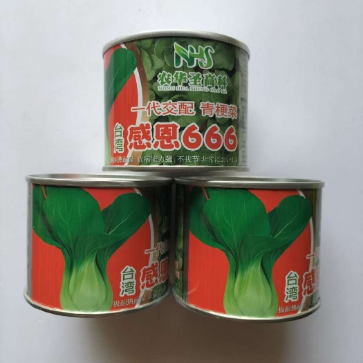 宿迁农华圣高科耐热耐湿青梗菜种子感恩666青梗菜种籽青菜种子
