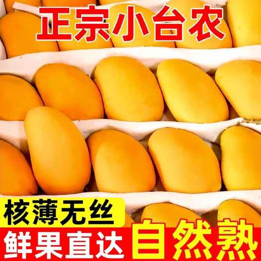 田东县[一件代发]小台农芒新鲜应季基地直供现摘现货秒发电商直播代发