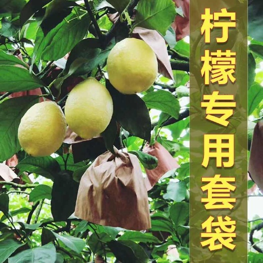 柠檬套袋柠檬保护袋专用袋子防虫防水青柠檬包果双层育果袋包邮