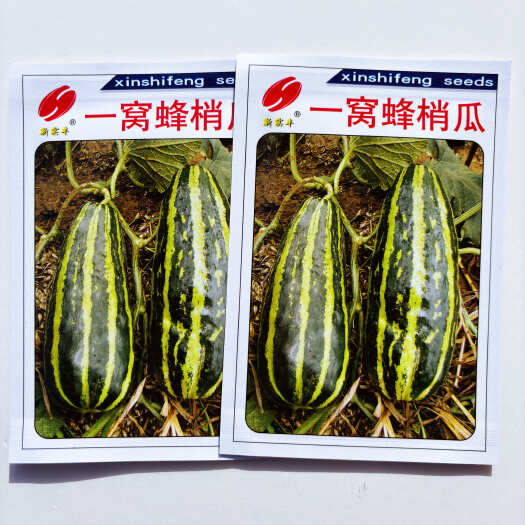 沭阳县一窝蜂梢瓜种子花皮酥瓜菜瓜三叶酥薄皮嫩瓜不苦酥脆多汁产量高